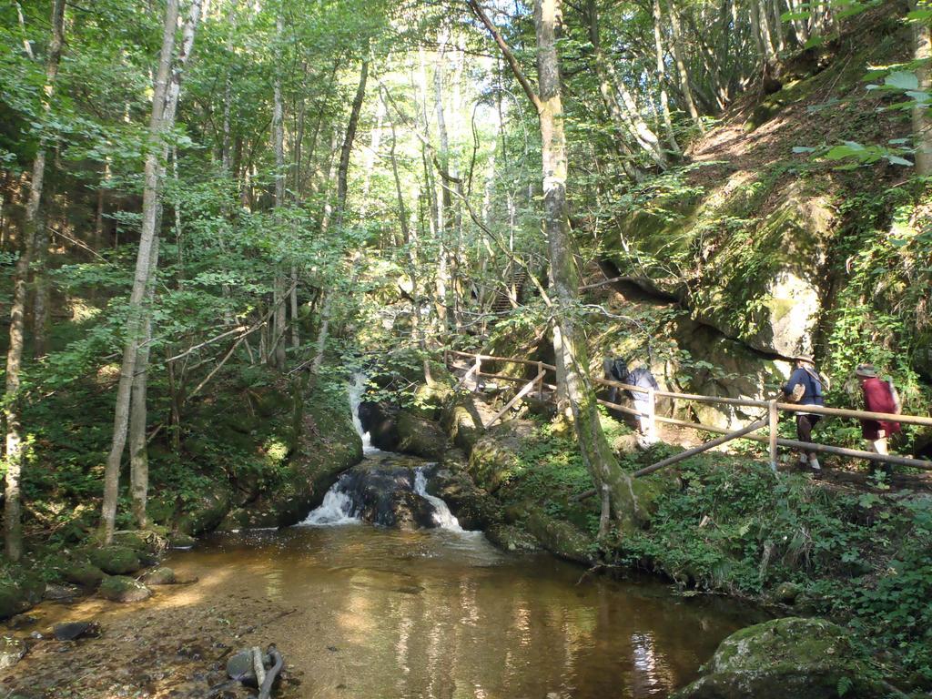 Bauernhof Waira *